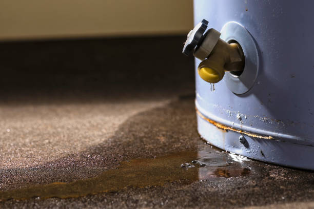Best Water damage cleanup near me  in Kimberly, AL