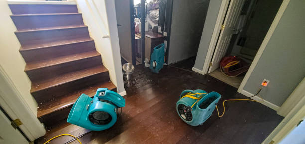 Best Fire Damage Restoration  in Kimberly, AL