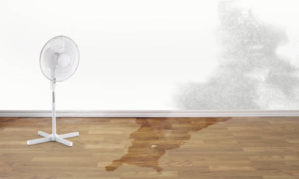 Best Professional water damage repair  in Kimberly, AL