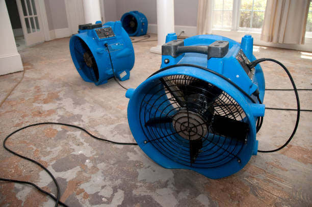 Best Carpet water damage restoration  in Kimberly, AL