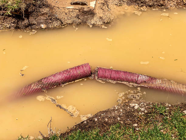 Best Mold removal after water damage  in Kimberly, AL