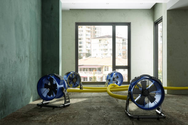 Best Ceiling water damage repair  in Kimberly, AL